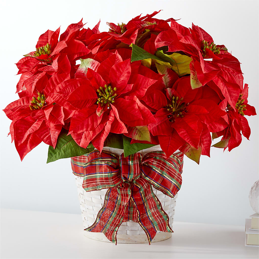 Happiest Holidays Poinsettia – Flowers By Marianne, Salisbury MA
