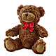 Adorable Plush Bear – Flowers By Marianne, Salisbury MA