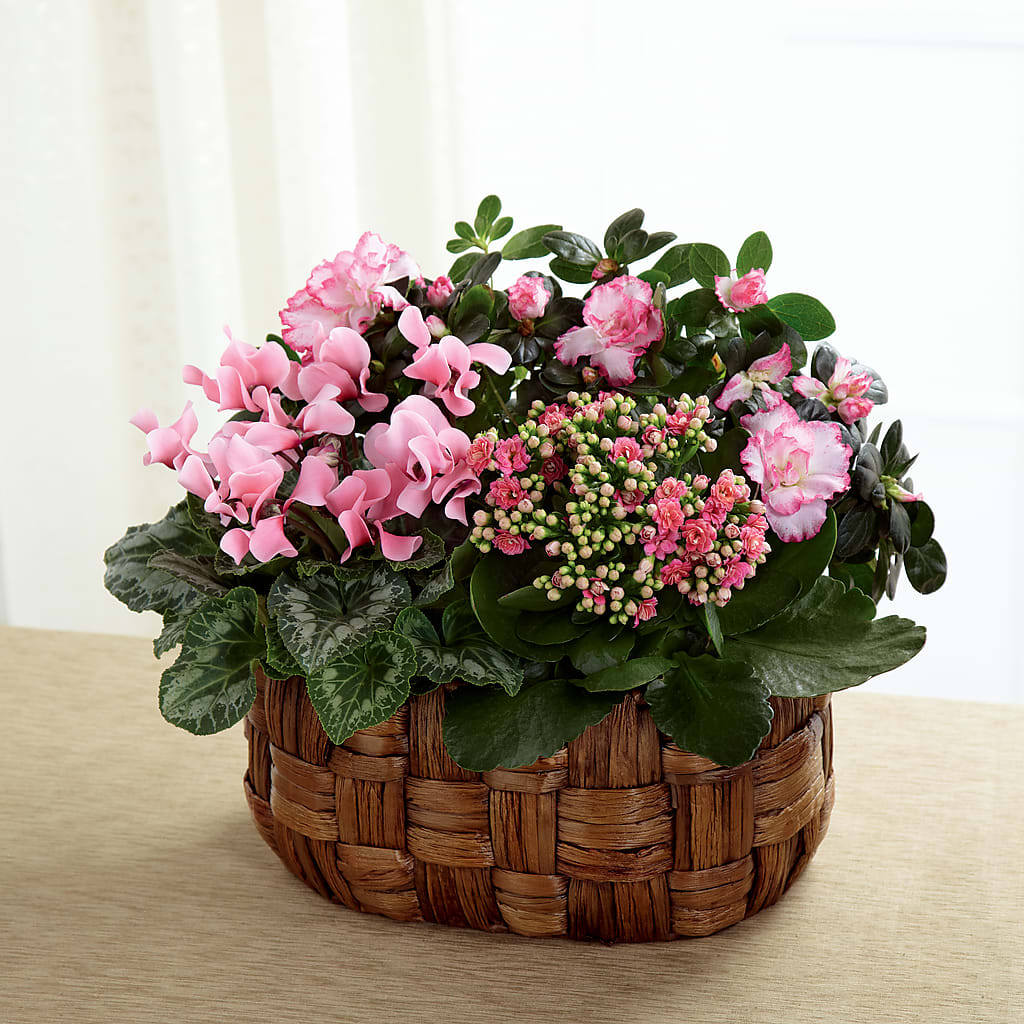 Pink Assortment – Flowers By Marianne, Salisbury MA