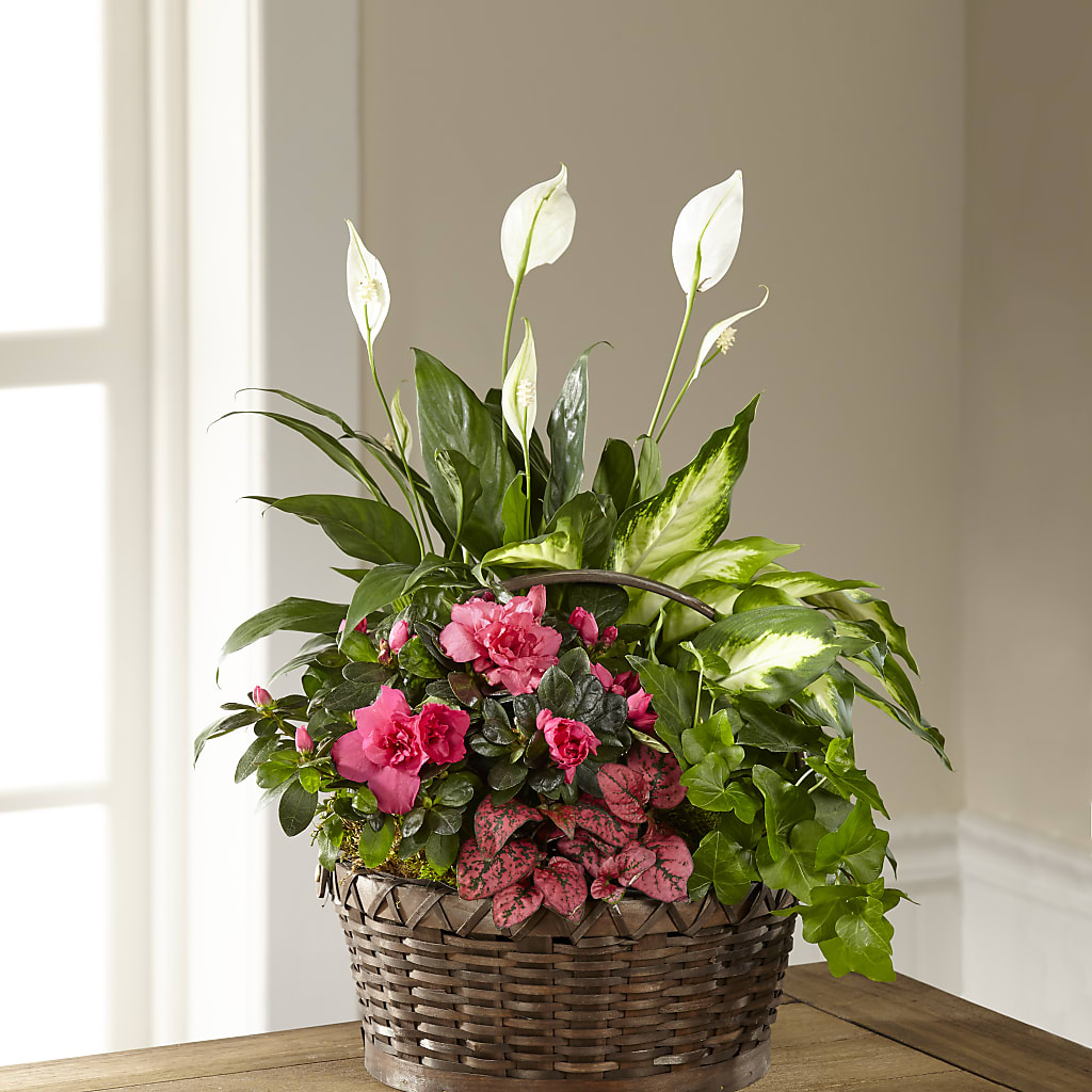 Dream in Pink Dishgarden – Flowers By Marianne, Salisbury MA
