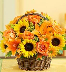 Sunflower Basket – Flowers By Marianne, Salisbury MA