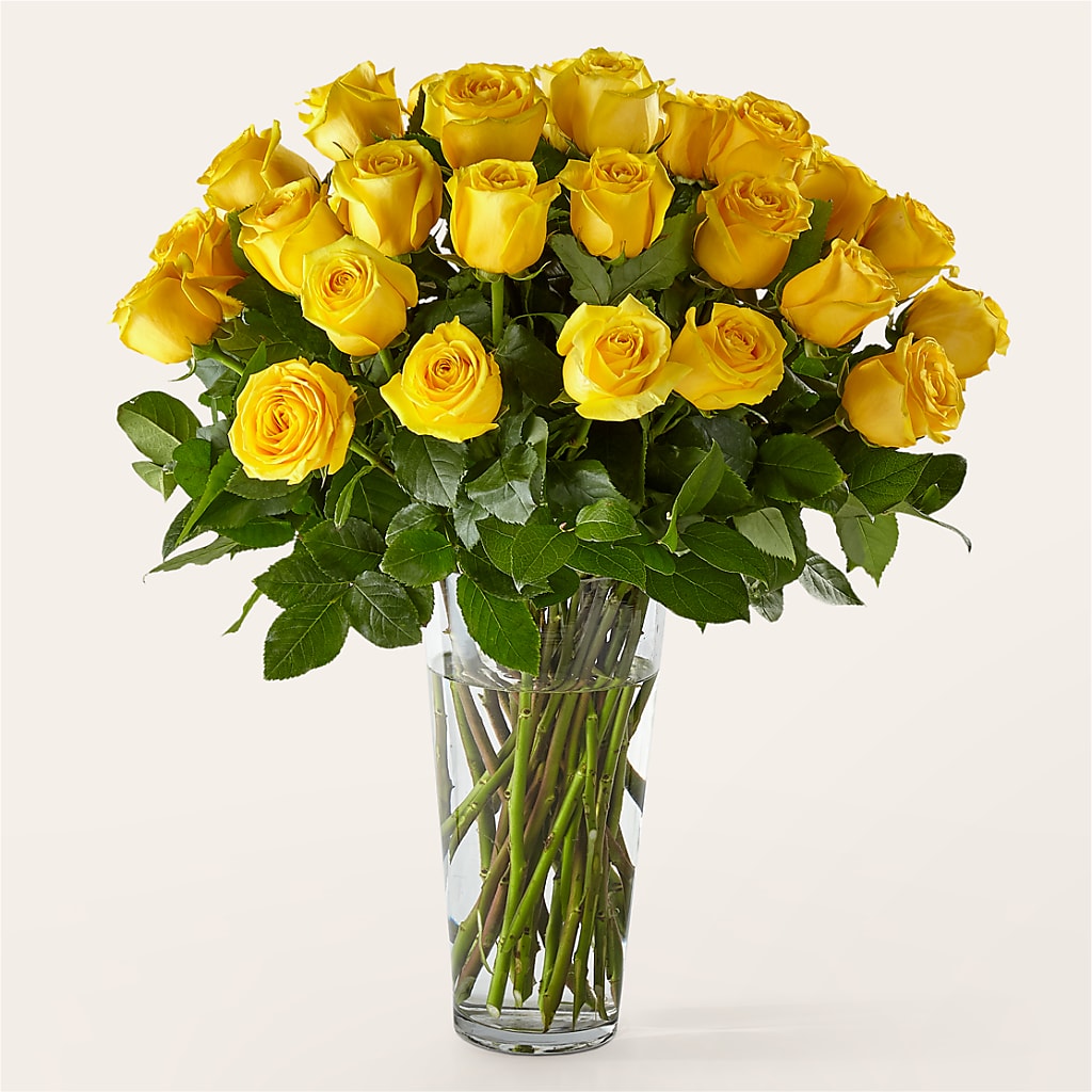 Long Stem Yellow Rose Bouquet – Flowers By Marianne, Salisbury MA