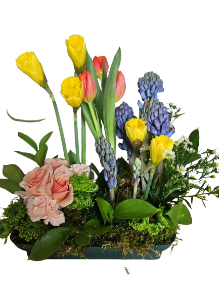 Spring Bulb Blossom Garden – Flowers By Marianne, Salisbury MA