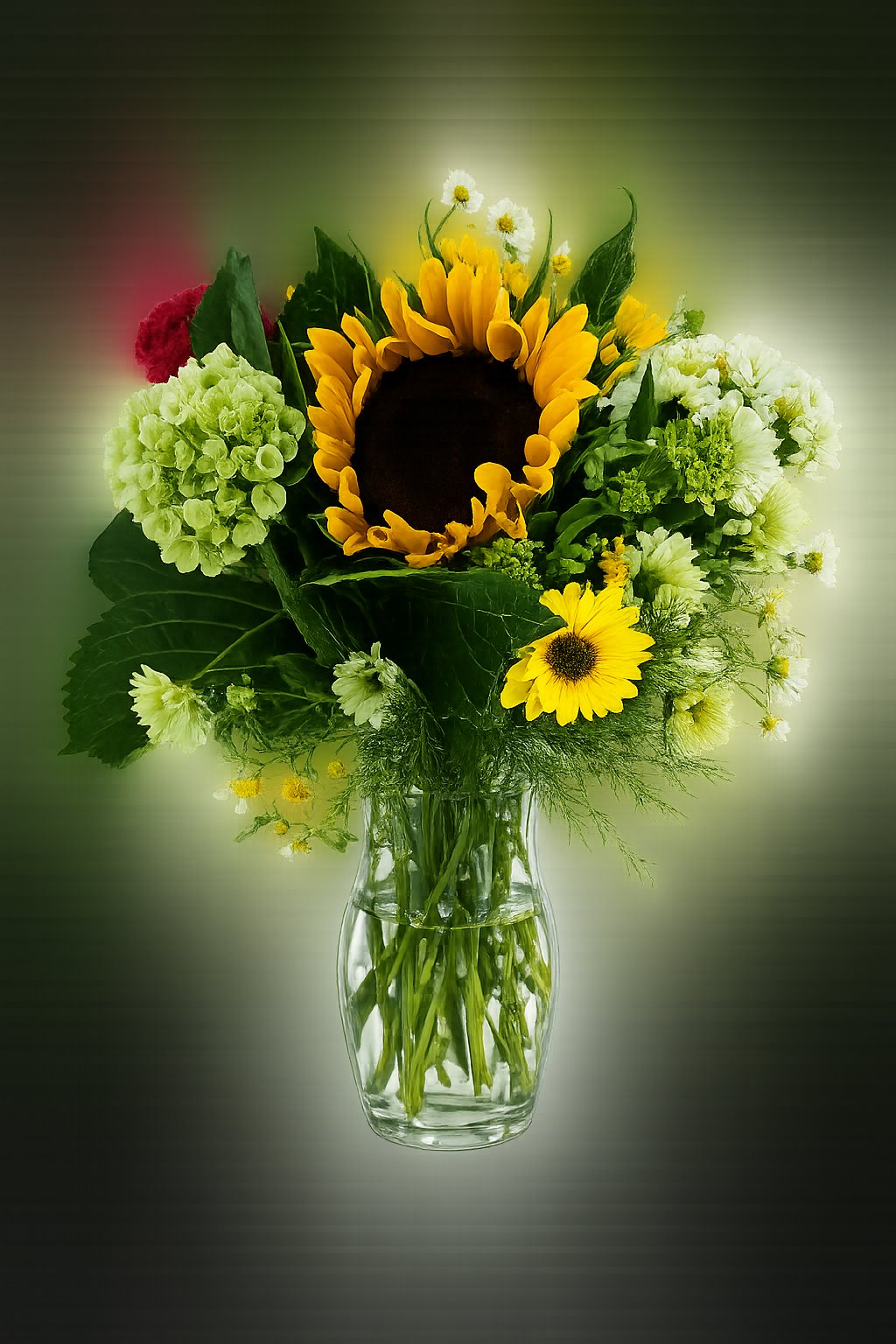 Summer Garden Deal of the day with fudge – Flowers By Marianne, Salisbury MA
