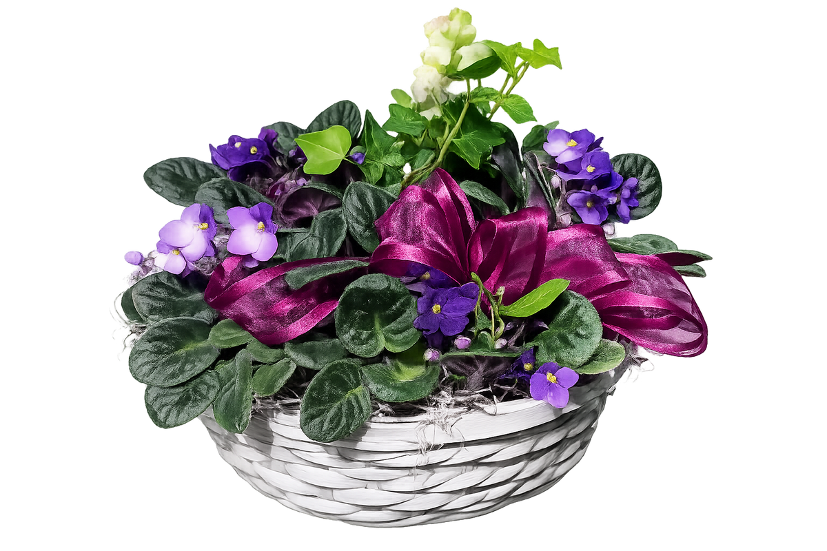 African Violet Basket – Flowers By Marianne, Salisbury MA