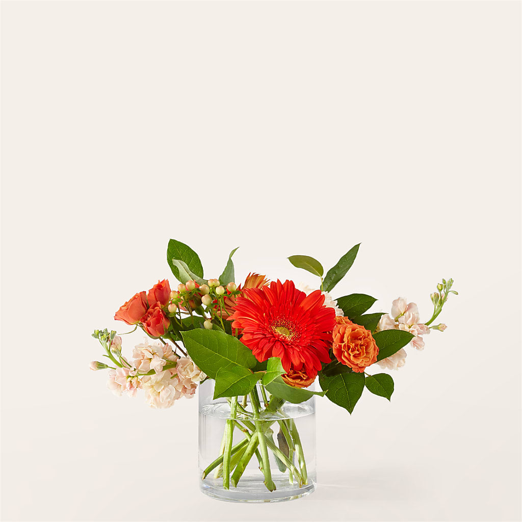 Paloma Please Bouquet – Flowers By Marianne, Salisbury MA