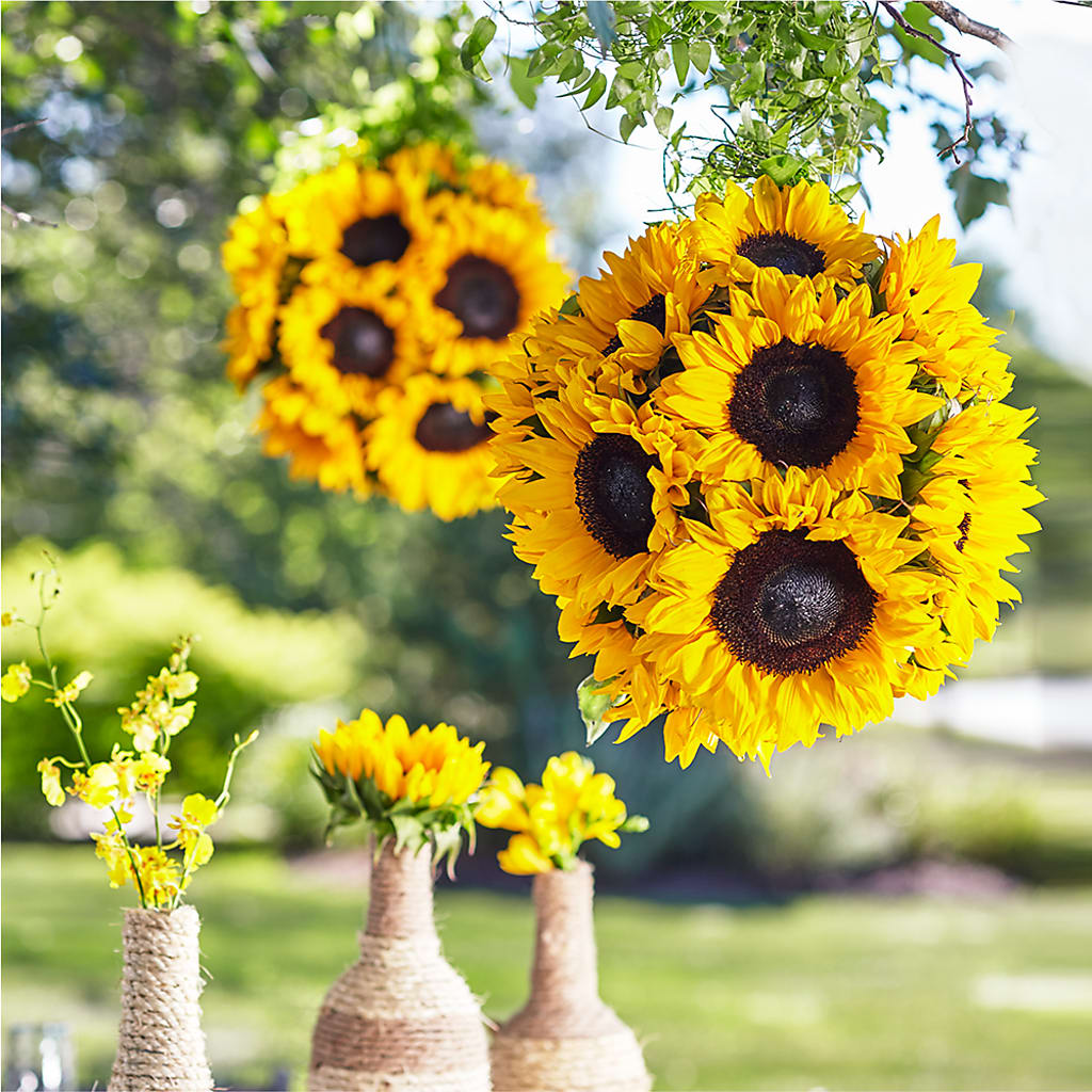 Sublime Garden Hanging Arrangement – Flowers By Marianne, Salisbury MA