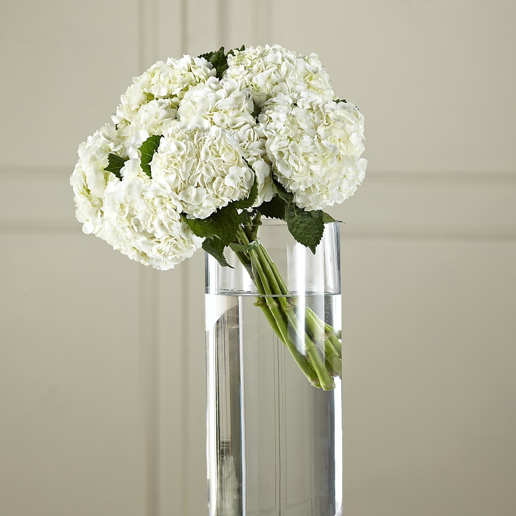 White Hydrangea Hand-Tied Bouquet – Flowers By Marianne, Salisbury MA