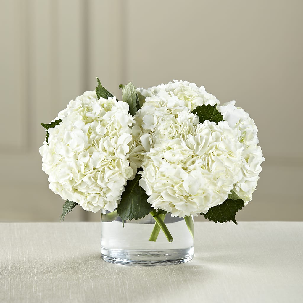 White Hydrangea Bouquet – Flowers By Marianne, Salisbury MA