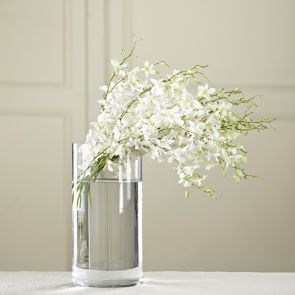 White Dendrobium Bouquet – Flowers By Marianne, Salisbury MA