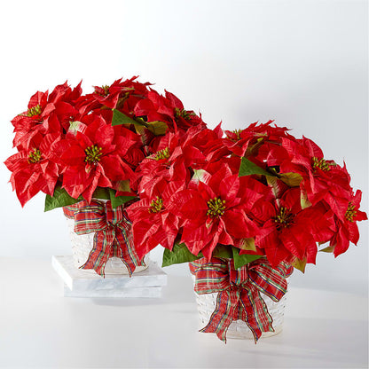 Happiest Holidays Poinsettia Bundle –  Flowers By Marianne, Salisbury MA