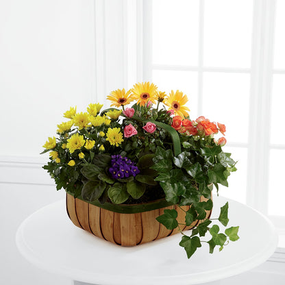 Gentle Blossoms Basket –  Flowers By Marianne, Salisbury MA