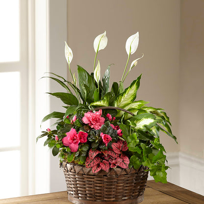 Dream in Pink Dishgarden –  Flowers By Marianne, Salisbury MA