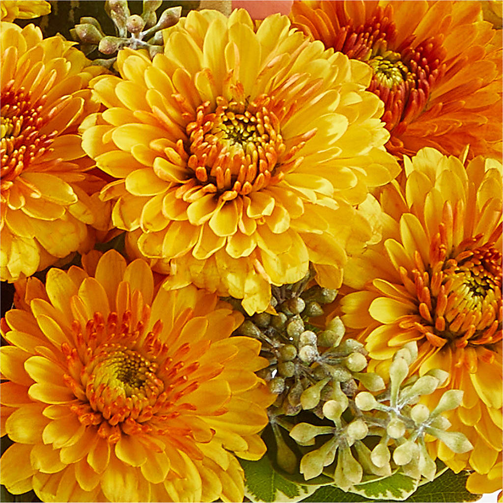 Peachy Pumpkin –  Flowers By Marianne, Salisbury MA