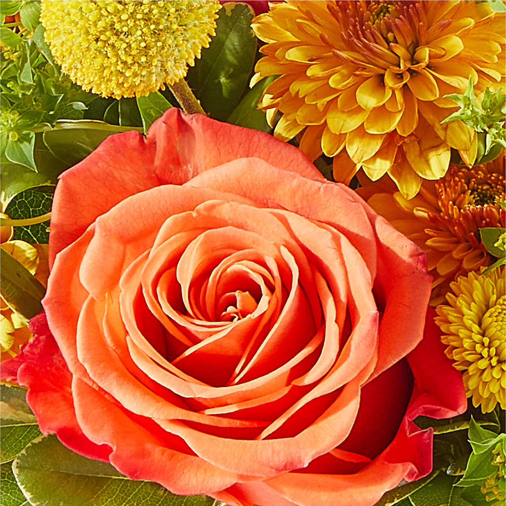 Gourdgeous Pumpkin –  Flowers By Marianne, Salisbury MA