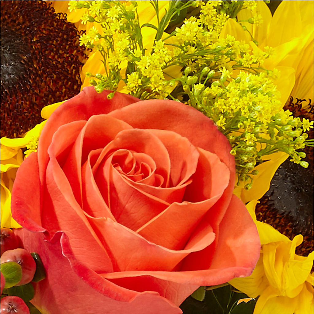 Pick of the Patch Pumpkin Bouquet –  Flowers By Marianne, Salisbury MA