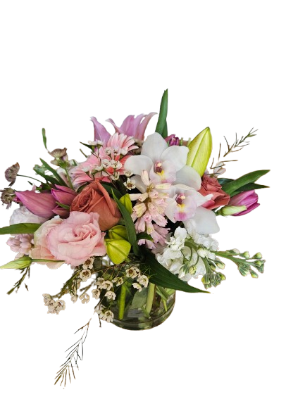 Blush Orchid Garden