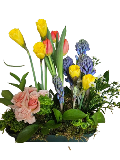 Spring Bulb Blossom Garden –  Flowers By Marianne, Salisbury MA