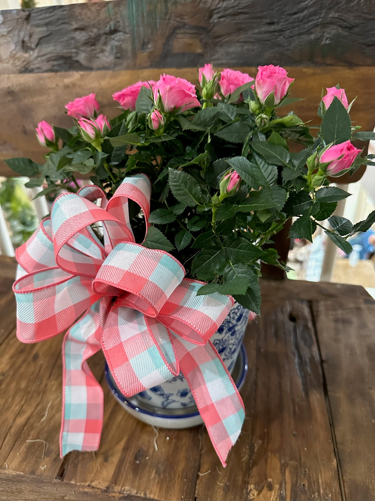 Mini Rose bush and fudge