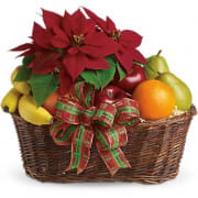 Fresh fruit and Poinsettia Basket –  Flowers By Marianne, Salisbury MA