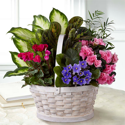 Peaceful Garden Planter –  Flowers By Marianne, Salisbury MA