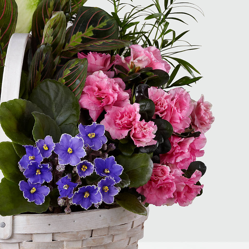 Peaceful Garden Planter –  Flowers By Marianne, Salisbury MA