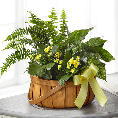 Always Dear Dishgarden –  Flowers By Marianne, Salisbury MA