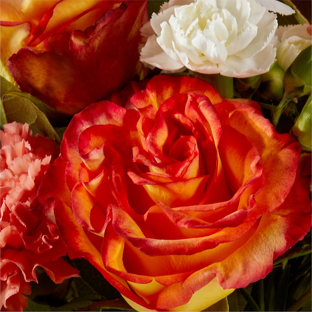 Apricot Glow Bouquet –  Flowers By Marianne, Salisbury MA