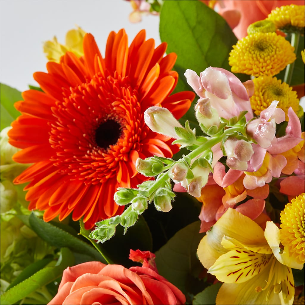 Autumn Sunshine Bouquet –  Flowers By Marianne, Salisbury MA