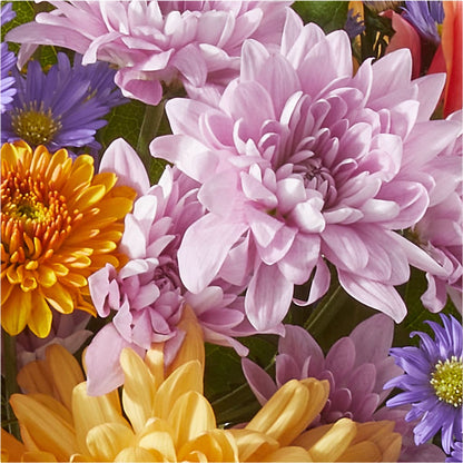 Countryside Bouquet –  Flowers By Marianne, Salisbury MA