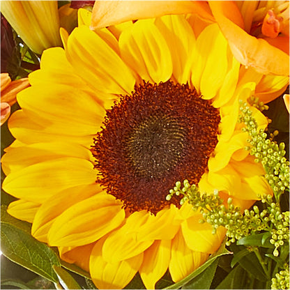 Seasons Change Bouquet –  Flowers By Marianne, Salisbury MA
