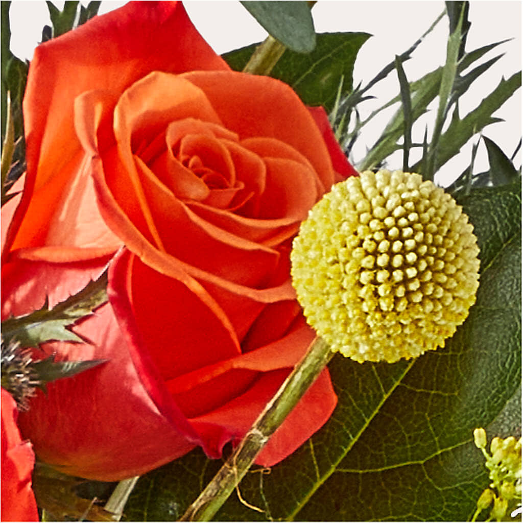 Disco Bouquet –  Flowers By Marianne, Salisbury MA