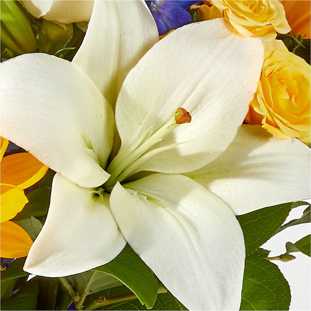 Wonderfully Sunny Bouquet –  Flowers By Marianne, Salisbury MA