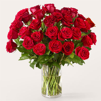 The One Red Rose Bouquet –  Flowers By Marianne, Salisbury MA