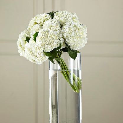 White Hydrangea Hand-Tied Bouquet –  Flowers By Marianne, Salisbury MA