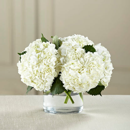White Hydrangea Bouquet –  Flowers By Marianne, Salisbury MA